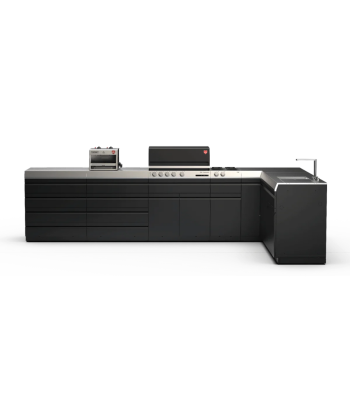 Otto Wilde Platform - Insanity